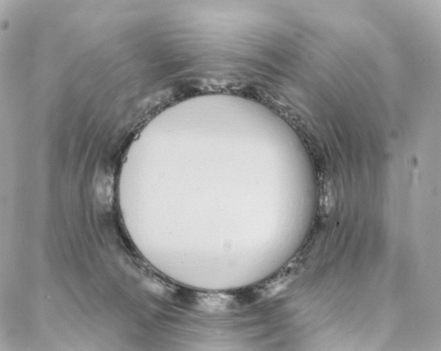 X0000088020226200706011332