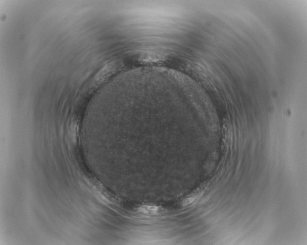 X0000088020227200706011332