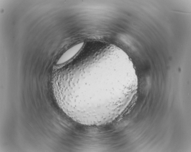 X0000088020229200706011332