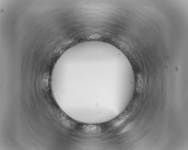 X0000088020230200706011332