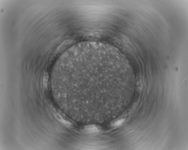 X0000088020231200706011332