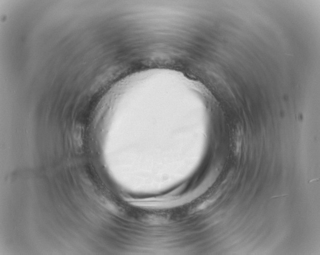 X0000088020232200706011332