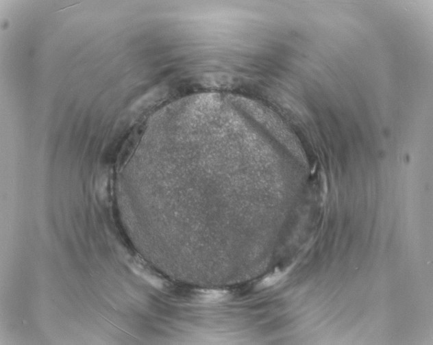 X0000088020233200706011332