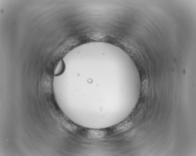 X0000088020234200706011332