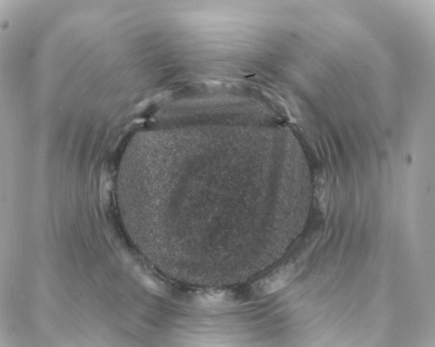 X0000088020235200706011332