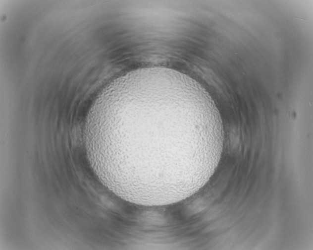 X0000088020236200706011332