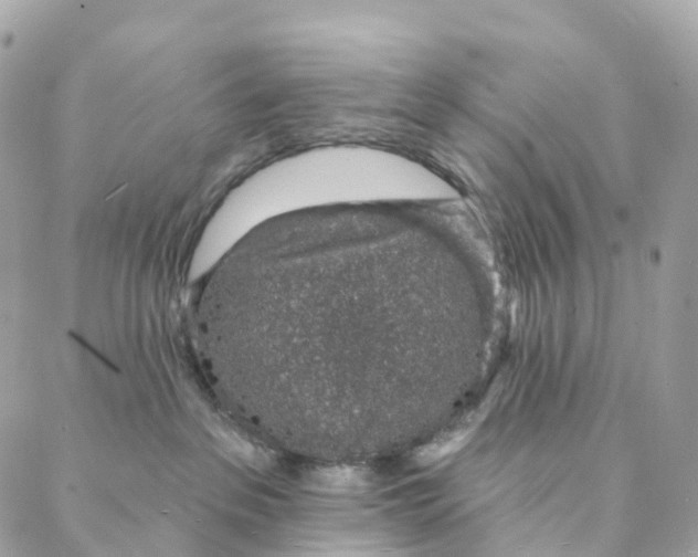 X0000088020237200706011332