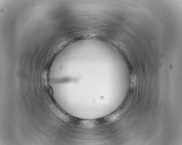 X0000088020238200706011332