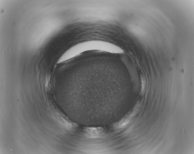 X0000088020239200706011332