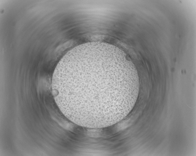 X0000088020240200706011332