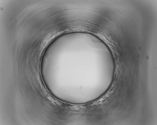 X0000088020241200706011331