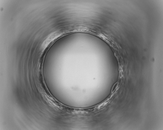 X0000088020242200706011331