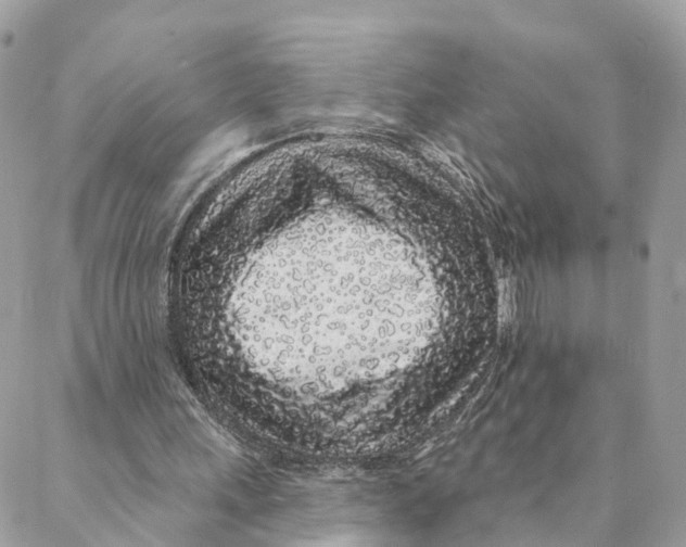 X0000088020243200706011331