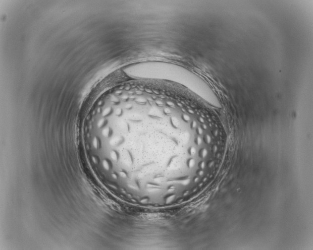 X0000088020244200706011331