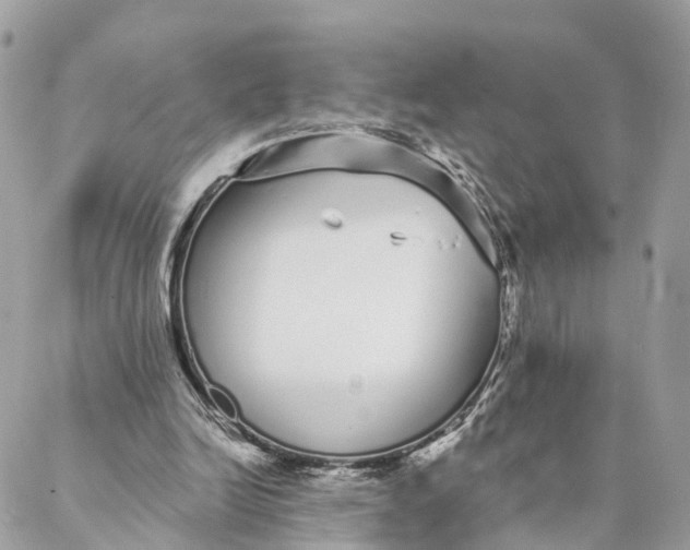 X0000088020246200706011331