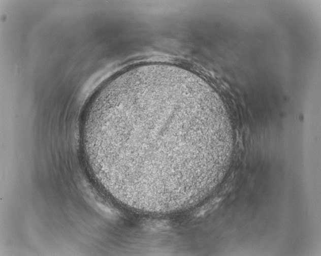 X0000088020247200706011331