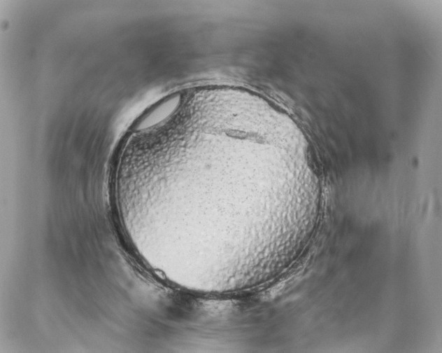 X0000088020248200706011331