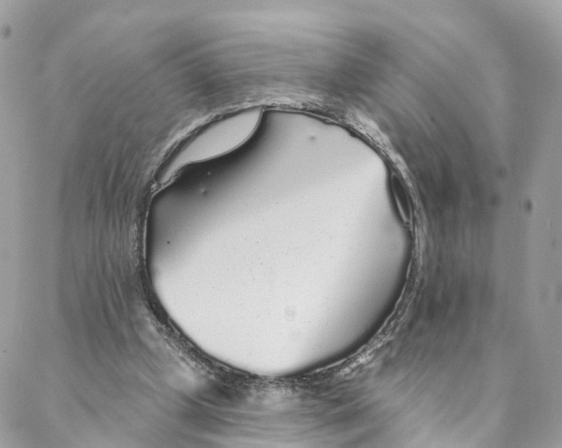 X0000088020249200706011331