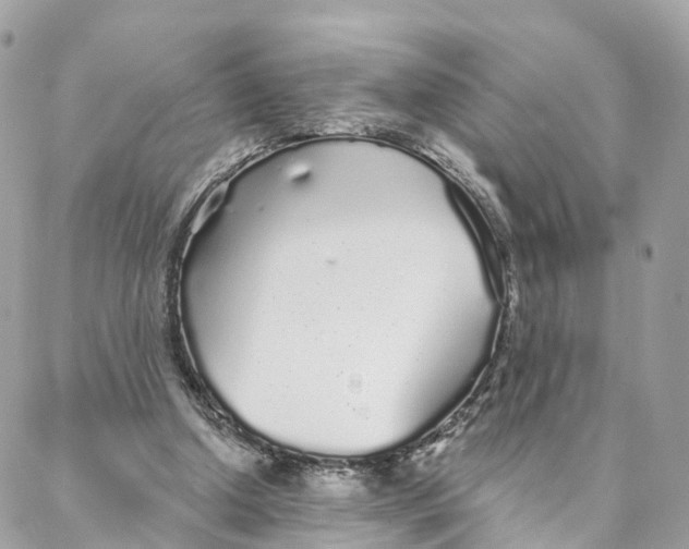 X0000088020250200706011331