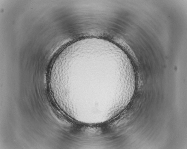 X0000088020251200706011331