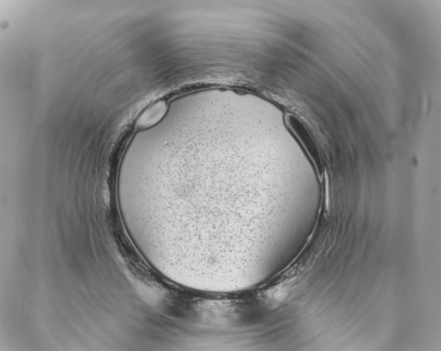 X0000088020252200706011331