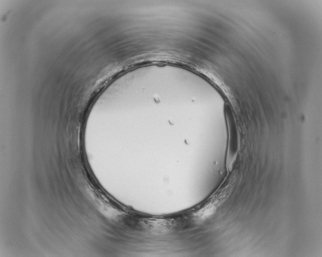 X0000088020253200706011331