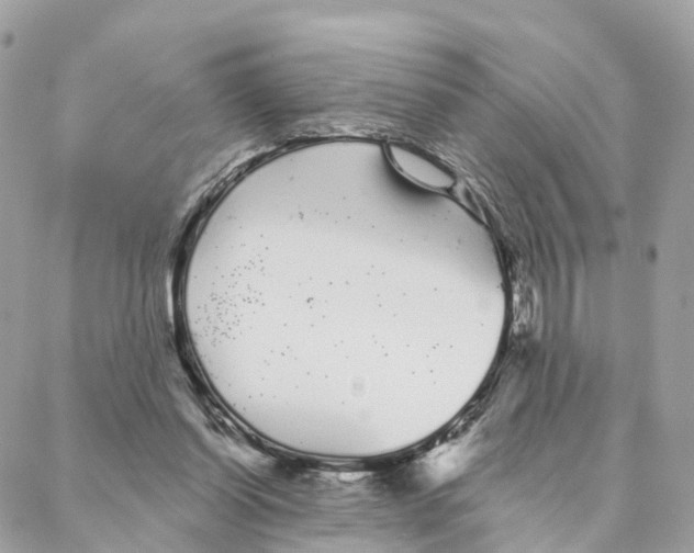 X0000088020254200706011331