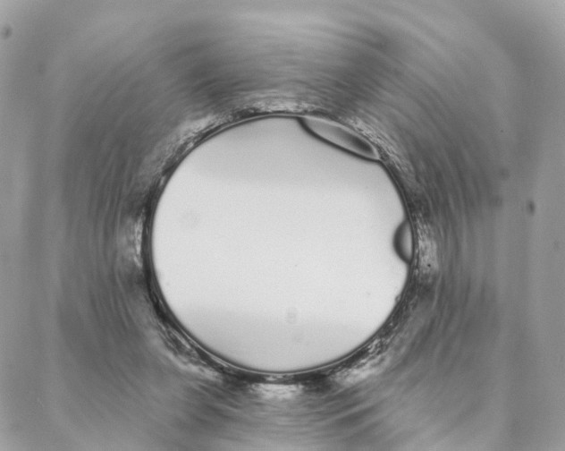 X0000088020255200706011331