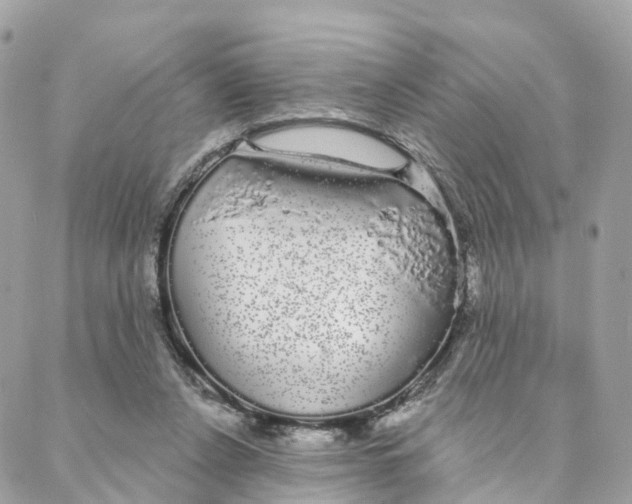 X0000088020256200706011331