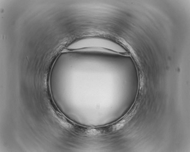 X0000088020257200706011331