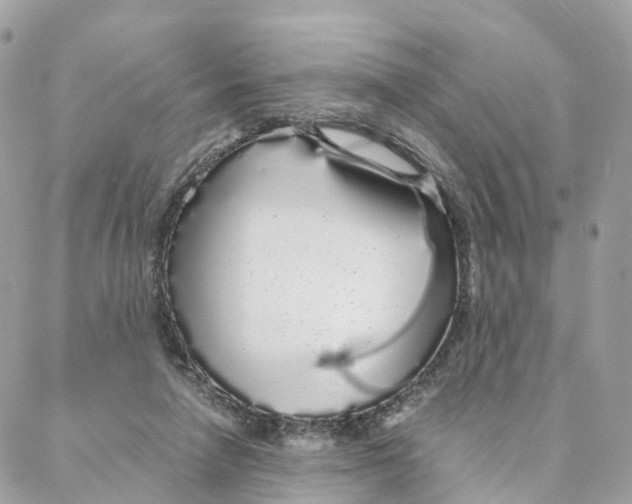 X0000088020258200706011331