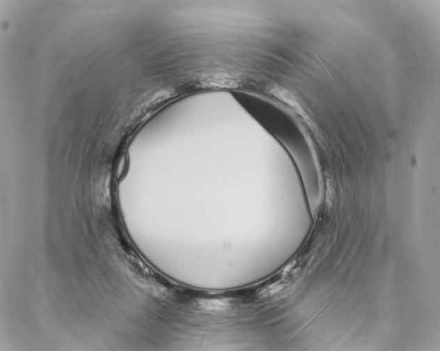 X0000088020259200706011331