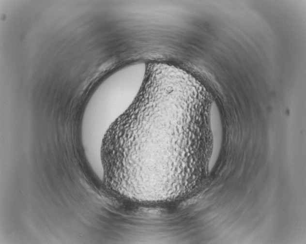 X0000088020260200706011331