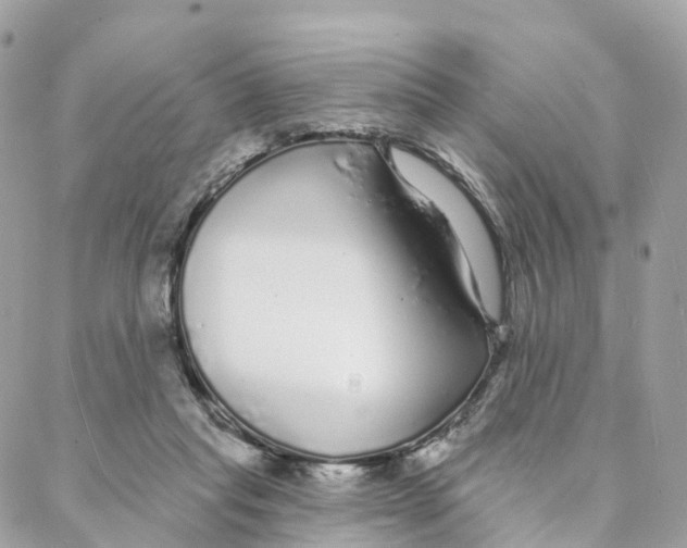 X0000088020261200706011331