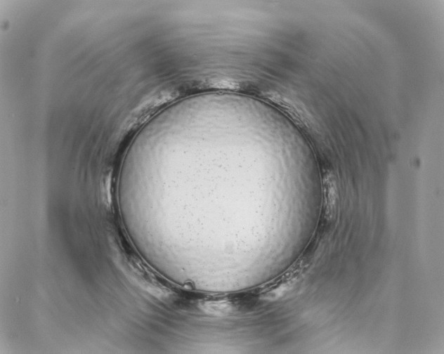 X0000088020262200706011331