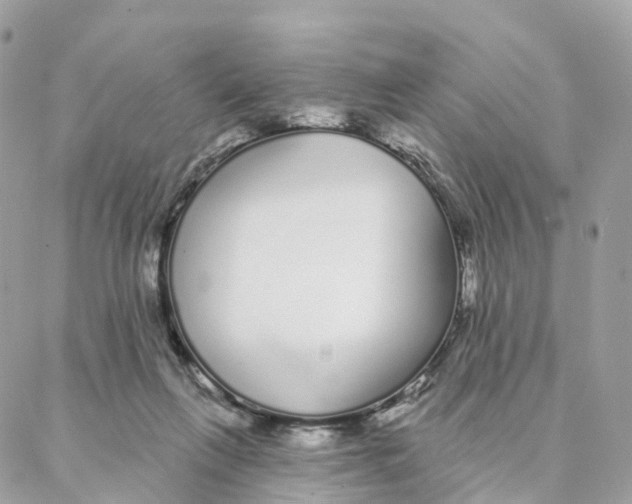 X0000088020263200706011331