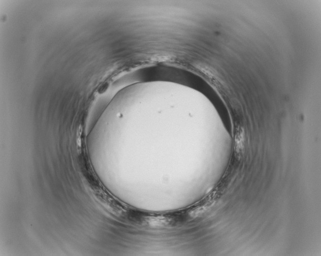 X0000088020264200706011331