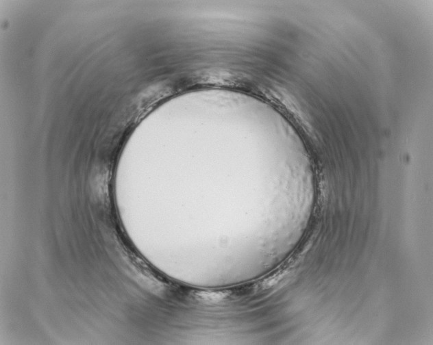 X0000088020265200706011331