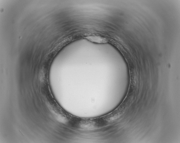 X0000088020266200706011332