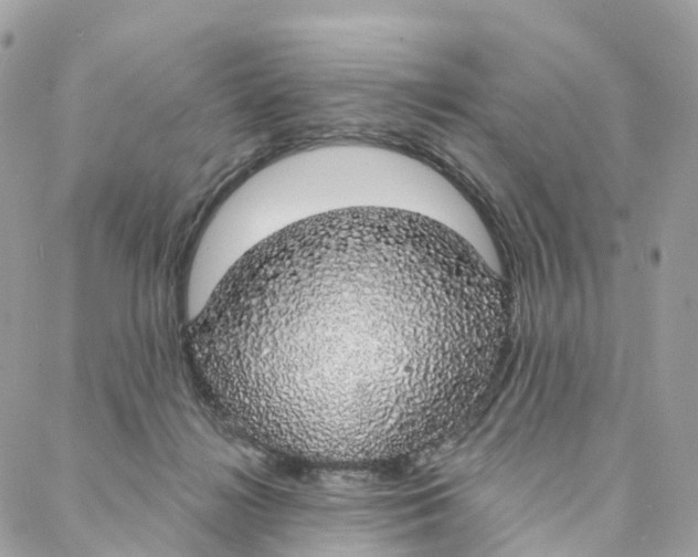 X0000088020268200706011332