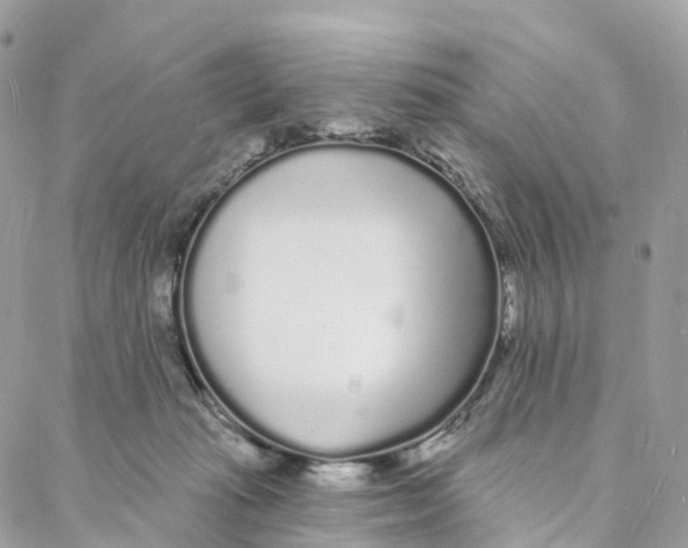 X0000088020269200706011332