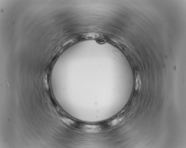 X0000088020270200706011332