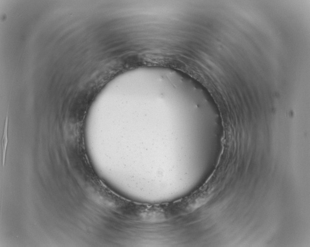 X0000088020271200706011332