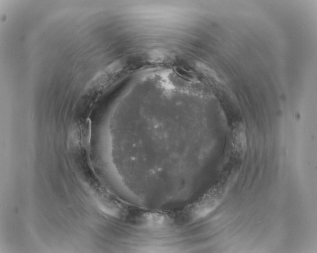 X0000088020272200706011332