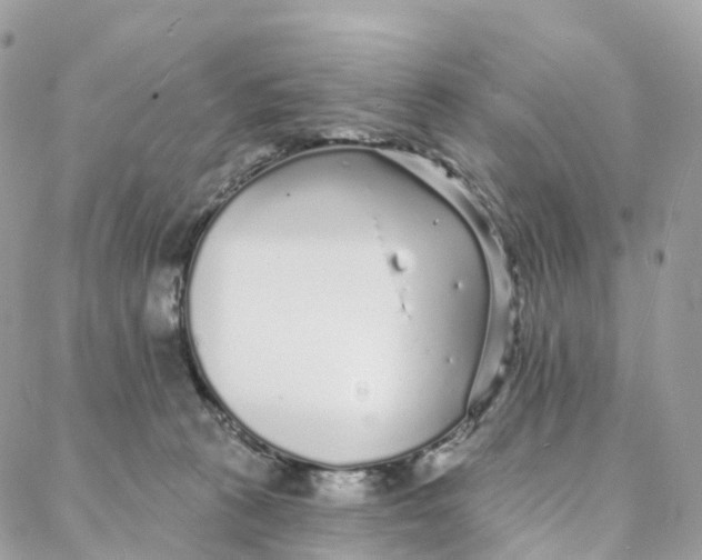 X0000088020273200706011332