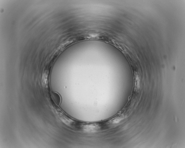 X0000088020274200706011332