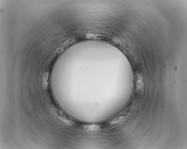 X0000088020275200706011332