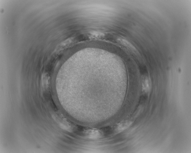 X0000088020276200706011332