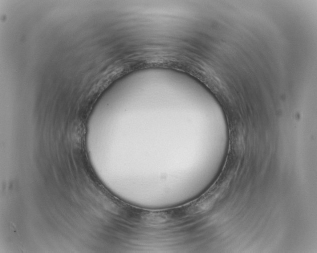 X0000088020277200706011332