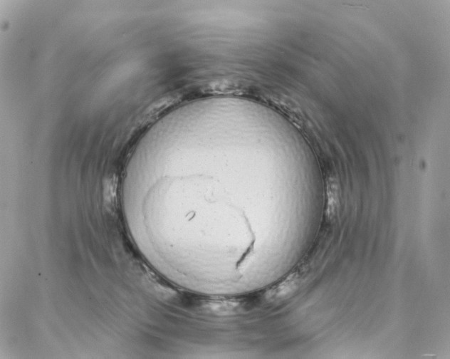 X0000088020278200706011332